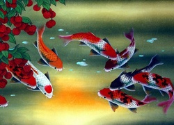 Ryby, Koi, Rośliny