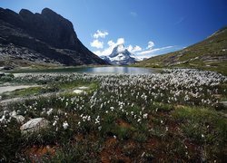 Łąka, Jeziorko, Góry, Matterhorn, Szwajcaria