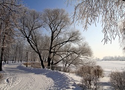 Zima, Droga, Drzewa, Śnieg