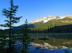 Jezioro, Góry, Drzewa, Alberta, Kanada
