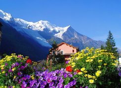 Dom, Góry, Kwiaty