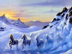 Zima, Śnieg, Góry, Pędzące, Konie