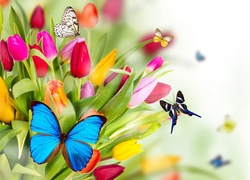 Tulipany, Motyle, Tekstura