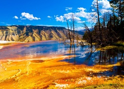 Jezioro, Góry, Drzewa, Park Narodowy, Montana, Kanada