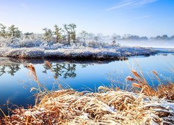 Jezioro, Niebo, Drzewo