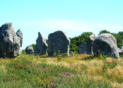 Lato, Łąka, Skały