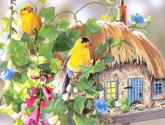Karmnik, Żółte, Ptaki, Kwiaty