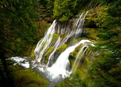 Wodospad Panther Creek Falls, Stan Waszyngton, Stany Zjednoczone Las, Drzewa