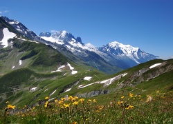Łąka, Góry, Alpy