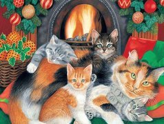 Koty, Kominek, Boże, Narodzenie