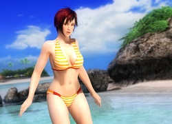 Dead Or Alive 5, Mila