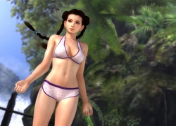 Dead Or Alive 5, Pai