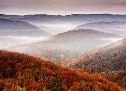 Góry, Las, Mgła, Jesień