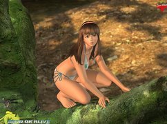 Dead Or Alive Xtreme 2, Hitomi