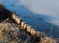 Jezioro, Lód, Sucha, Trawa, Drewniane, Kołki