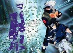 Naruto,książżka , liście