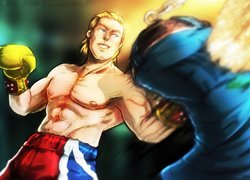 Tekken Tag Tournament 2, Steve Fox