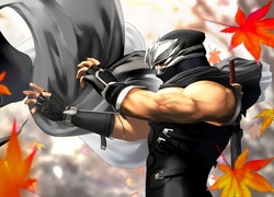 Dead Or Alive Dimension, Ryu Hayabusa