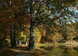 Jesień, Park, Staw