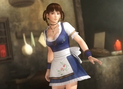 Dead Or Alive 5, Lei Fang