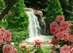 Rzeka, Wodospad, Róże