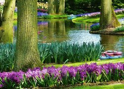 Park, Lato, Rzeka, Kwiaty, Keukenhof, Holandia