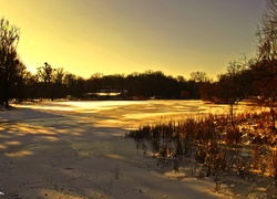 Zamarznięte, Jezioro, Zima, Drzewa