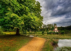 Drzewa, Park, Staw, Lilie Wodne, Ścieżka