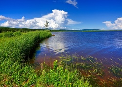 Jezioro, Łąka ,Chmury