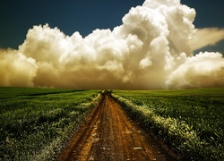 Pole, Ścieżka, Chmury