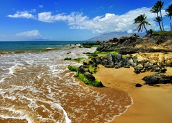 Morze, Plaża, Kamienie, Tropik