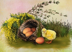 Jajka, Kurczaczek, Wielkanoc