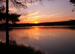 Jezioro, Drzewo, Zachód Słońca
