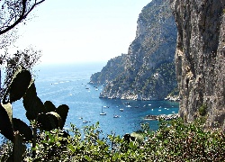 Wyspa, Capri, Morze, Kaktusy