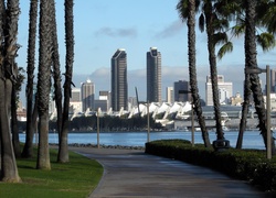 San Diego, Drapacze Chmur, Droga, Drzewa