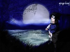 Naruto, drzewko, trawa