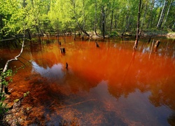 Jezioro, Antropogeniczne, Łuk Mużakowa, Park