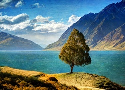 Jezioro, Drzewo, Góry, Hawea, Nowa Zelandia