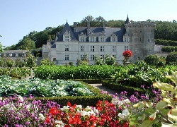 Zamek w Villandry, Château de Villandry, Francja, Villandry, Ogród