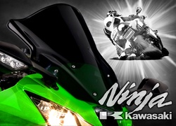 Kawasaki ZX-10R Ninja, Motocykl, Zielony, Ścigacz, Motocyklista