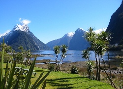 Jezioro, Góry, Roślinność, Milford Sound, Nowa Zelandia