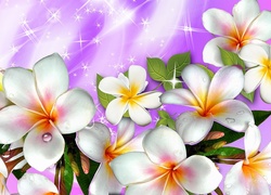 Plumeria, Art