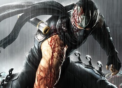 Ninja Gaiden 3