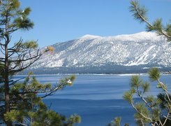 Jezioro, Drzewo, Góry, Tahoe, Kalifornia