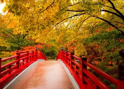 Jesień, Drzewa, Czerwony, Most