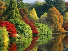 Jesień, Rzeka, Kolorowe, Drzewa, Krzewy, Odbicie