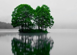 Jezioro, Wysepka, Drzewa, Sohara, Japonia