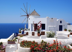 Wiatrak, Taras, Kwiatki, Santorini, Grecja