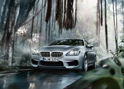 Bmw M6 GranCoupe