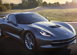 Chevrolet Corvette, Droga